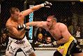 Heath Herring (1)